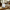 Smart Diffuser – Covers Rooms & Open Areas