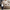 Smart Diffuser – Covers Rooms & Open Areas